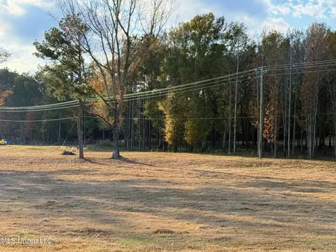 Zion Road, Walnut Grove, MS 39189 photo 22