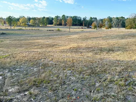 Zion Road, Walnut Grove, MS 39189 photo 38