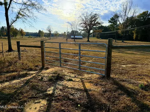 Zion Road, Walnut Grove, MS 39189 photo 19