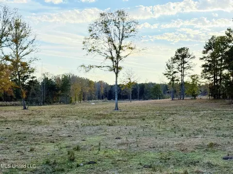 Zion Road, Walnut Grove, MS 39189 photo 49