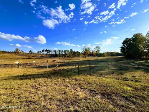 Zion Road, Walnut Grove, MS 39189 photo 6