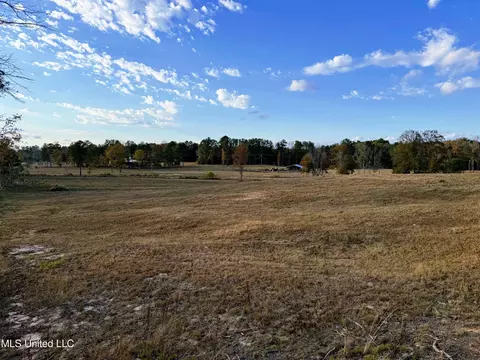 Zion Road, Walnut Grove, MS 39189 photo 34
