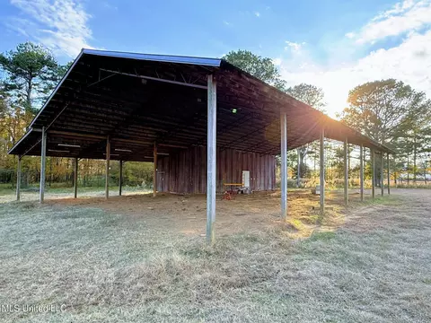 Zion Road, Walnut Grove, MS 39189 photo 26
