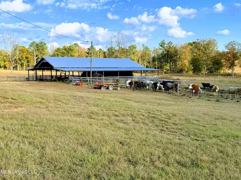 Zion Road, Walnut Grove, MS 39189 photo 7