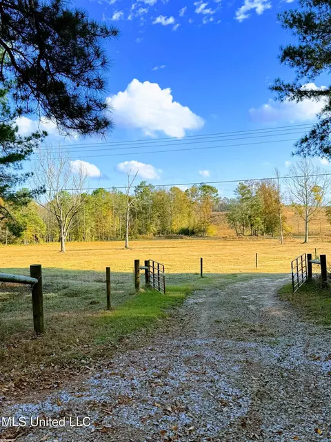 Zion Road, Walnut Grove, MS 39189 photo 10