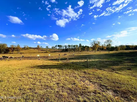 Zion Road, Walnut Grove, MS 39189 photo 5