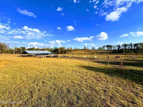 Zion Road, Walnut Grove, MS 39189 photo 4