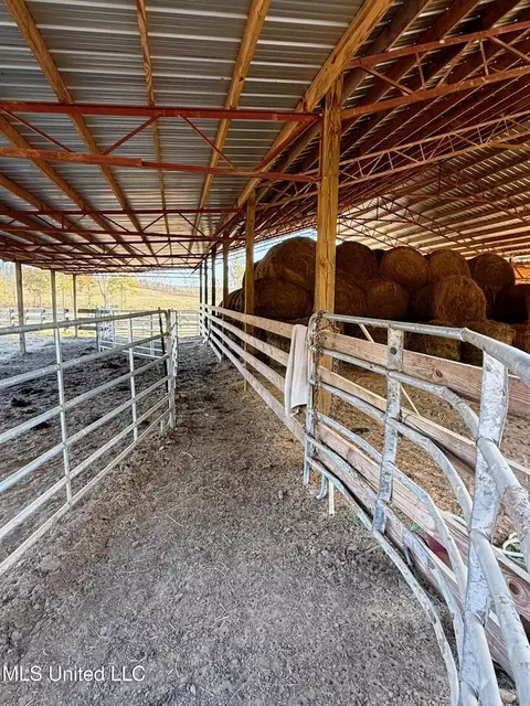 Zion Road, Walnut Grove, MS 39189 photo 13