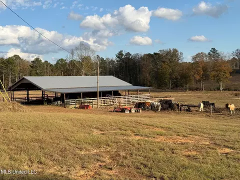 Zion Road, Walnut Grove, MS 39189 photo 2