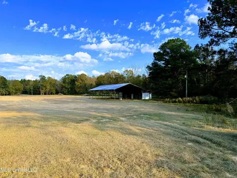 Zion Road, Walnut Grove, MS 39189 photo 25