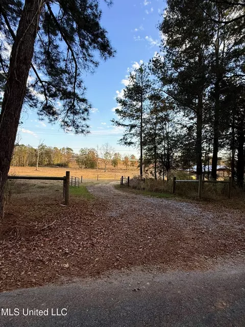 Zion Road, Walnut Grove, MS 39189 photo 47