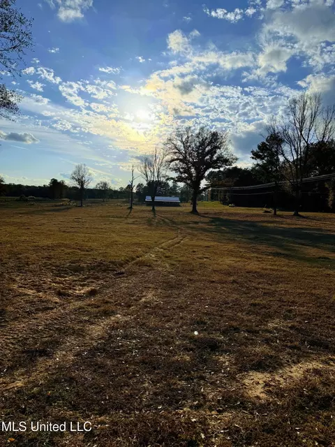 Zion Road, Walnut Grove, MS 39189 photo 20