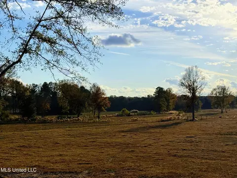 Zion Road, Walnut Grove, MS 39189 photo 23