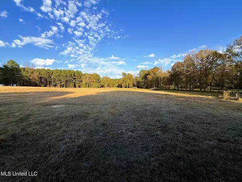 Zion Road, Walnut Grove, MS 39189 photo 28