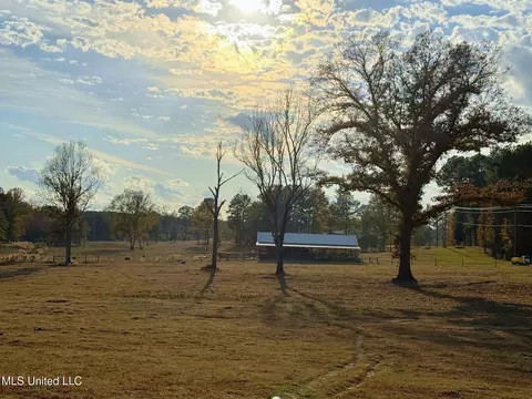 Zion Road, Walnut Grove, MS 39189 photo 21