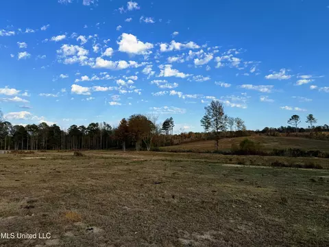 Zion Road, Walnut Grove, MS 39189 photo 53