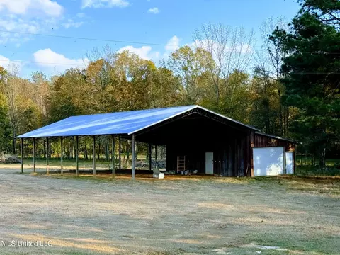 Zion Road, Walnut Grove, MS 39189 photo 24