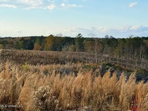 Zion Road, Walnut Grove, MS 39189 photo 43