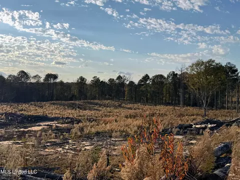 Zion Road, Walnut Grove, MS 39189 photo 31