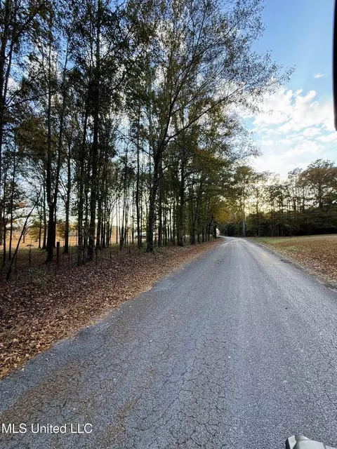 Zion Road, Walnut Grove, MS 39189 photo 46