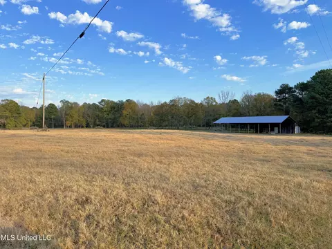Zion Road, Walnut Grove, MS 39189 photo 44