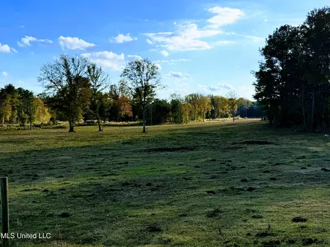 Zion Road, Walnut Grove, MS 39189 photo 8