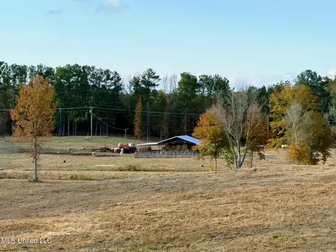 Zion Road, Walnut Grove, MS 39189 photo 36