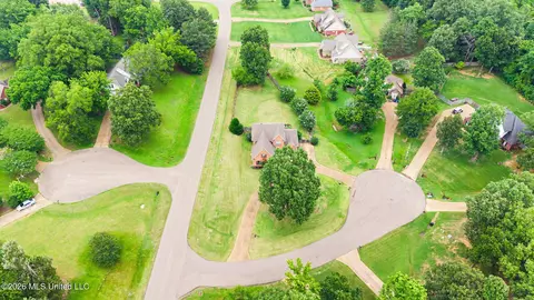 View/Area - 3456 Susie Cir, Nesbit, MS 38651 photo 5 of 6
