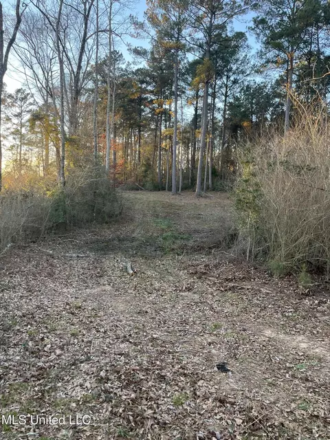 SE Mallalieu Drive, Brookhaven, MS 39601 photo 4
