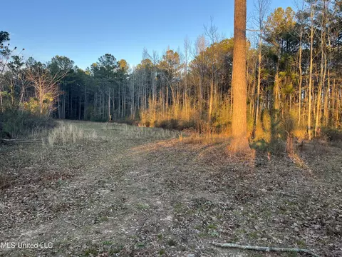 SE Mallalieu Drive, Brookhaven, MS 39601