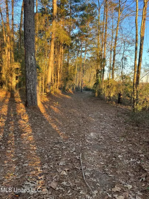 SE Mallalieu Drive, Brookhaven, MS 39601 photo 5