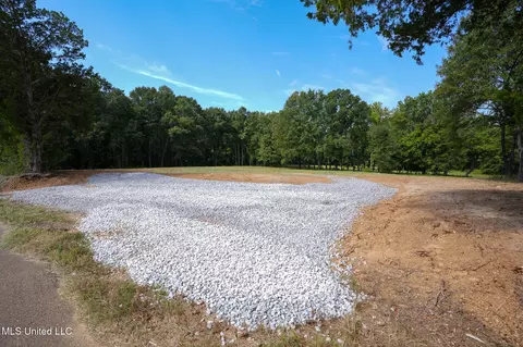Cane Creek Road, Flora, MS 39071 photo 1