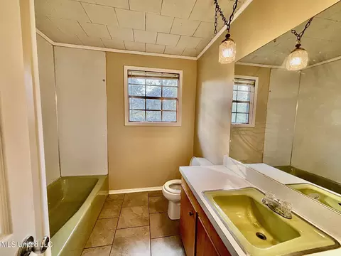 Bath - 23 Topeka Jayess Rd, Jayess, MS 39641 photo 2 of 2