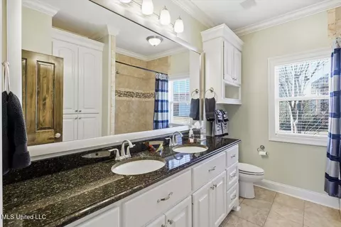 Bath - 151 Amethyst Dr, Brandon, MS 39047 photo 2 of 4
