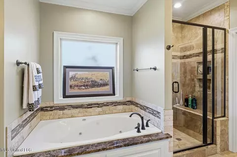Bath - 151 Amethyst Dr, Brandon, MS 39047 photo 3 of 4