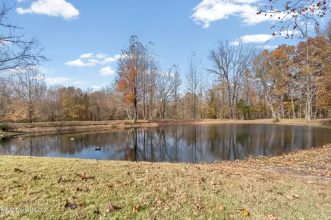 Other - 3165 Grand Oaks Dr, Hernando, MS 38632 photo 8 of 10