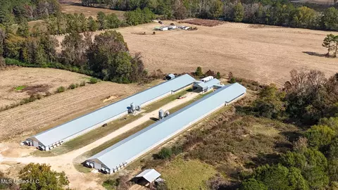320 Billy Davis Rd, Silver Creek, MS 39663