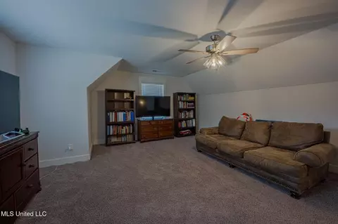 Other - 3751 Madison Ridge Dr, Hernando, MS 38632 photo 11 of 12