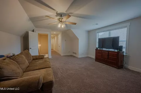 Other - 3751 Madison Ridge Dr, Hernando, MS 38632 photo 10 of 12