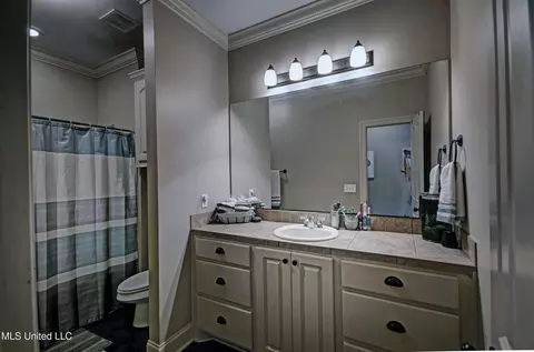 Bath - 243 E Pinebrook Dr, Brandon, MS 39047 photo 3 of 3