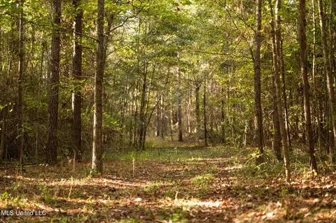 Lake View Golf Course Road, Meridian, MS 39301