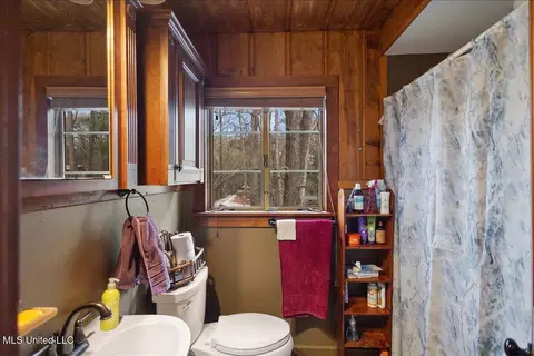 Bath - 806 E Dewey Camp Dr, Florence, MS 39073 photo 2 of 4