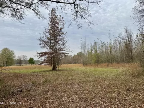 0000 Brown Rd, Canton, MS 39046 photo 10
