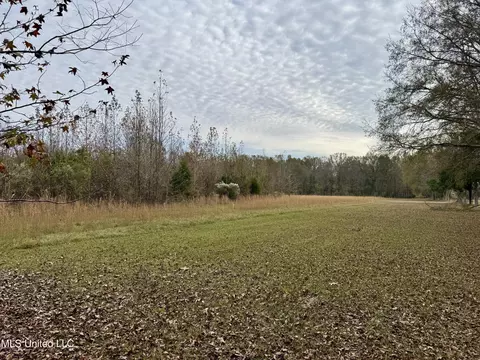 0000 Brown Rd, Canton, MS 39046 photo 16
