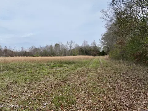 0000 Brown Rd, Canton, MS 39046 photo 3