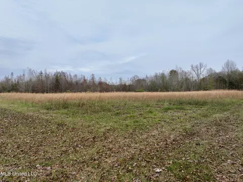 0000 Brown Rd, Canton, MS 39046 photo 4