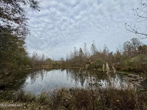 0000 Brown Rd, Canton, MS 39046 photo 13