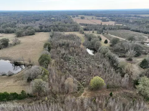 0000 Brown Rd, Canton, MS 39046 photo 14