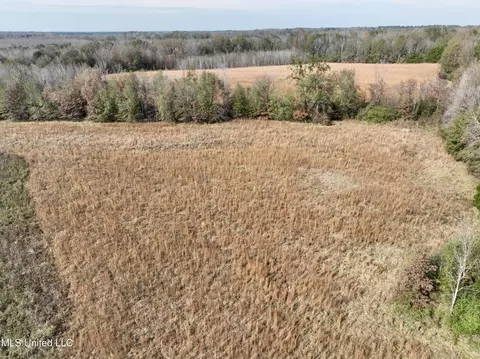 0000 Pisgah Bottom Rd, Canton, MS 39046 photo 19