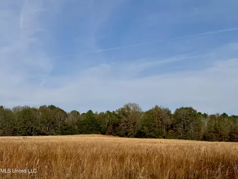 0000 Pisgah Bottom Rd, Canton, MS 39046 photo 2